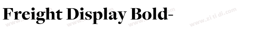 Freight Display Bold字体转换